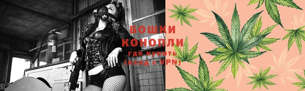 стафф Абинск