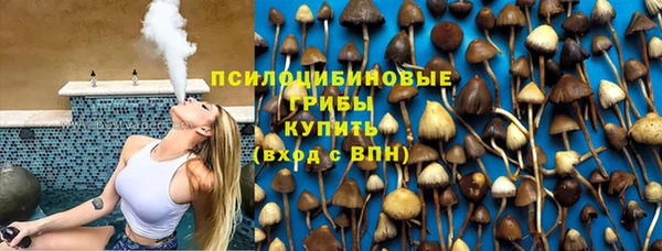 СК Алексин