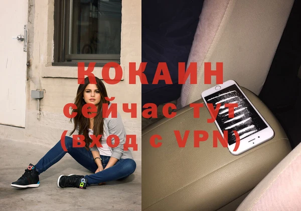 СК Алексин