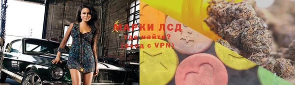 СК Алексин