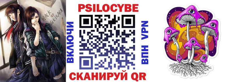 Псилоцибиновые грибы Psilocybine cubensis Невельск